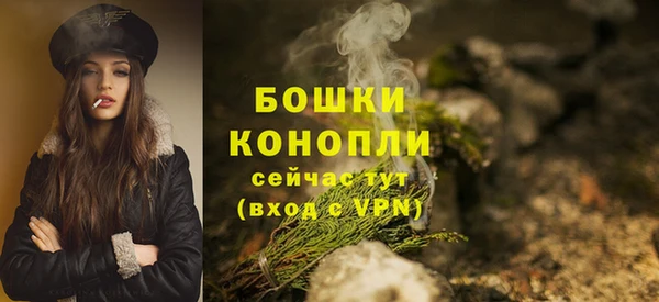 ECSTASY Богданович