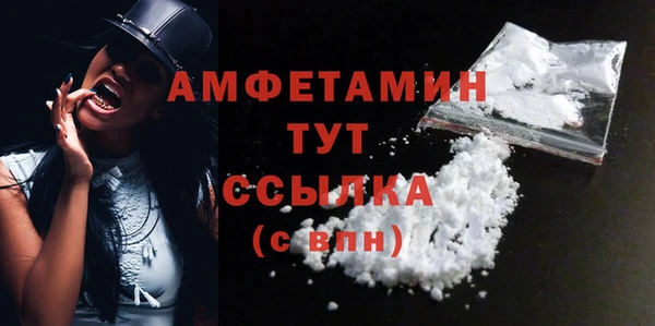 ECSTASY Богданович