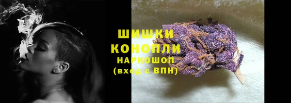 ECSTASY Богданович