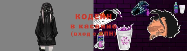 ECSTASY Богданович