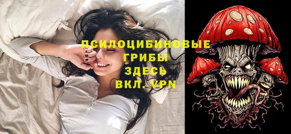 ECSTASY Богданович