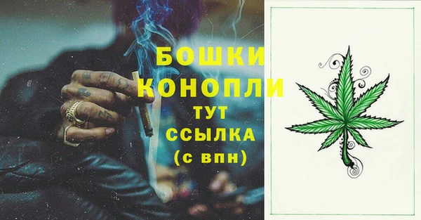 тгк Богородицк