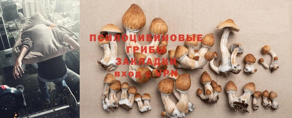 тгк Богородицк